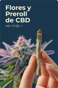 Flores y Pre-Rolls de CBD