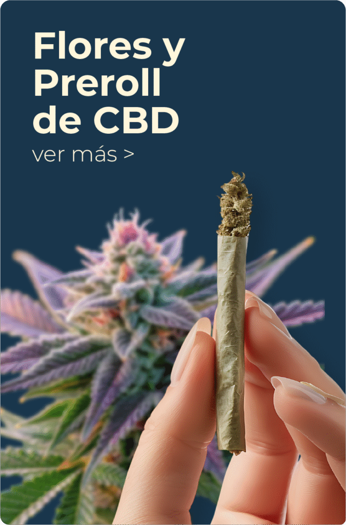 preroll cbd ecuador