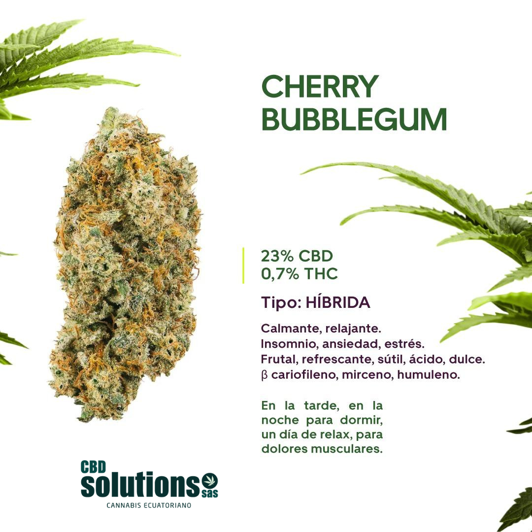 FLOR DE CBD Cherry bubblegum 3.5gr - Imagen 2